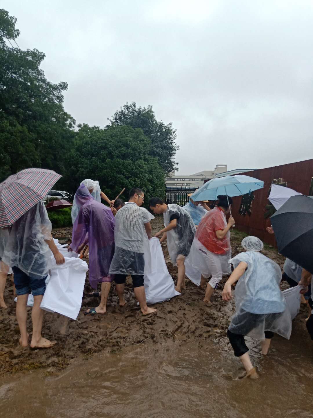 暴雨無情人有情——記暴雨過后排水搶險的衛爾康人